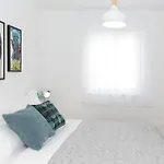Nono * Ποντστράνα
